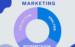 Data-Driven Market Insights